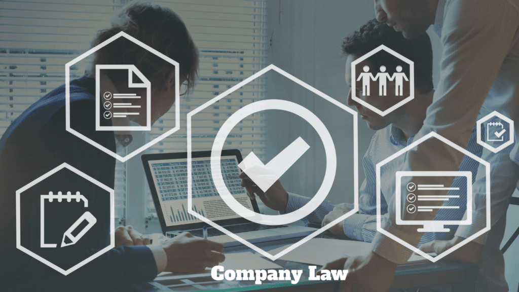 Company law legal consultation for business compliance and corporate governance