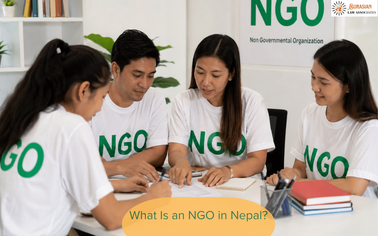 What Is an NGO in Nepal?