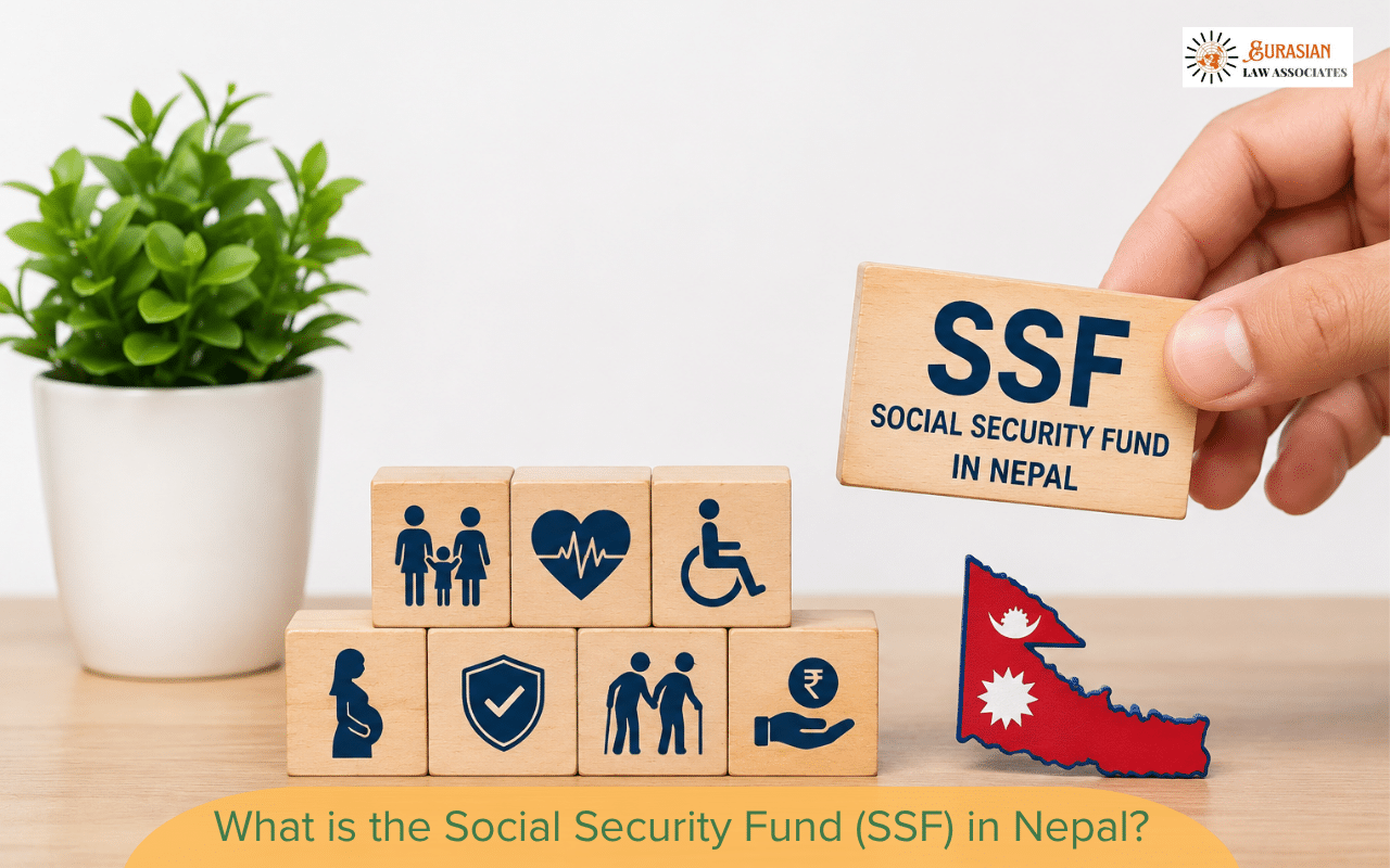 What is the Social Security Fund (SSF)