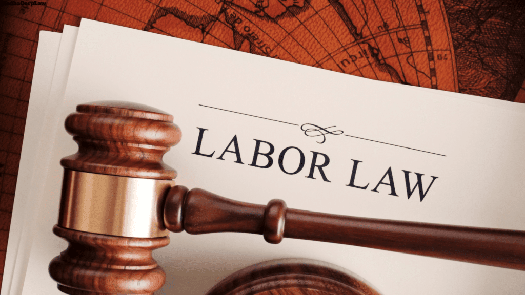 Employment and labour law consultation for workplace compliance and employee rights