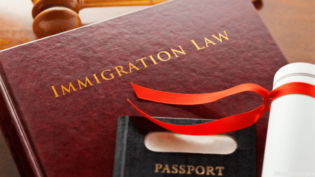 Immigration law consultation for visa processing and legal compliance